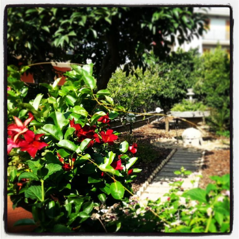 Villa Franca Mini Appartamenti บิสเชลเย ภายนอก รูปภาพ